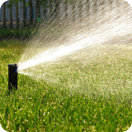 Dirvožemio pH ir kaip teisingai jį pasirinkti