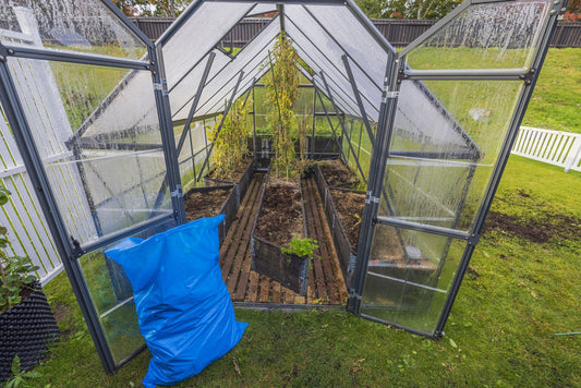 Pomidorų ir agurkų genėjimas – sodininko sėkmės paslaptis