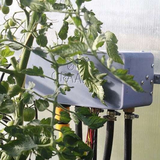 Šiltnamio laistymo sistemos. Kokią rinktis?