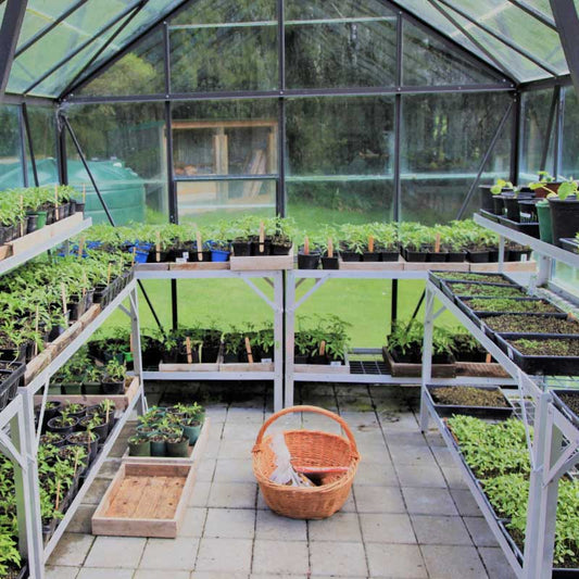 Šiltnamio įrengimas