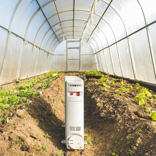 Viskas ką reikia žinoti apie šiltnamio temperatūrą ir šviesą